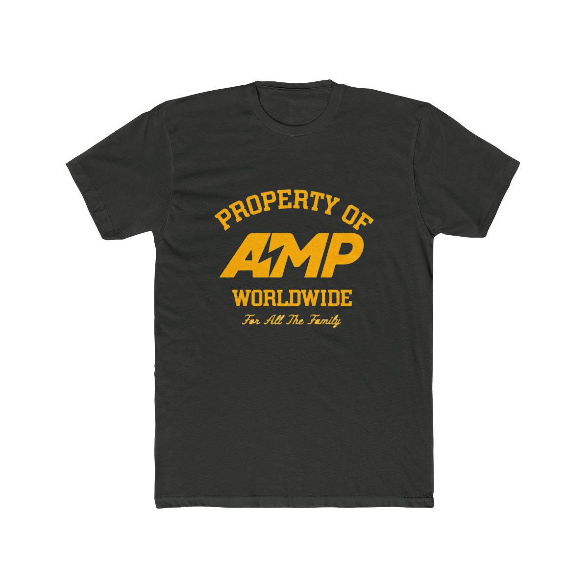 Funny Property of Amp Musician T Shirt - alternate angle 2, merchandise